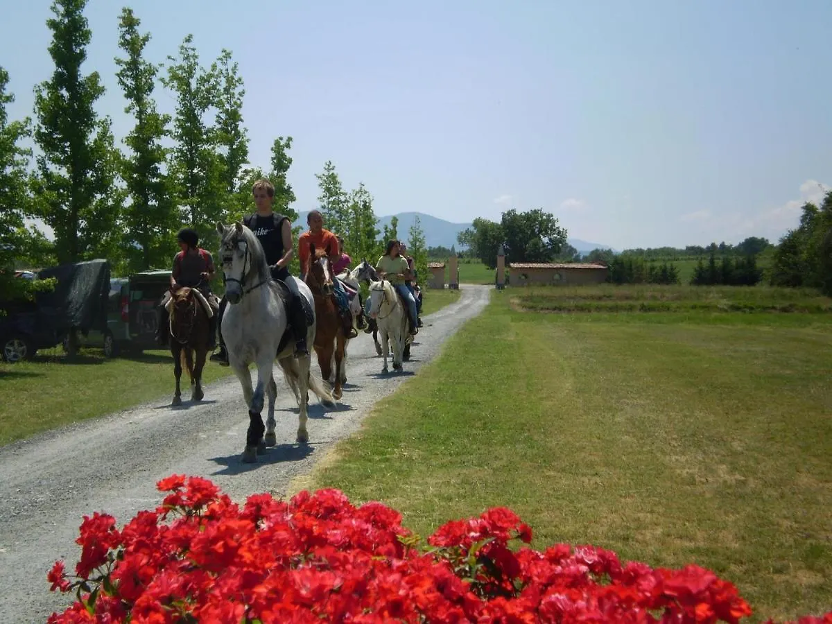 Villa Shazin Stud à Alseno Séjour à la ferme