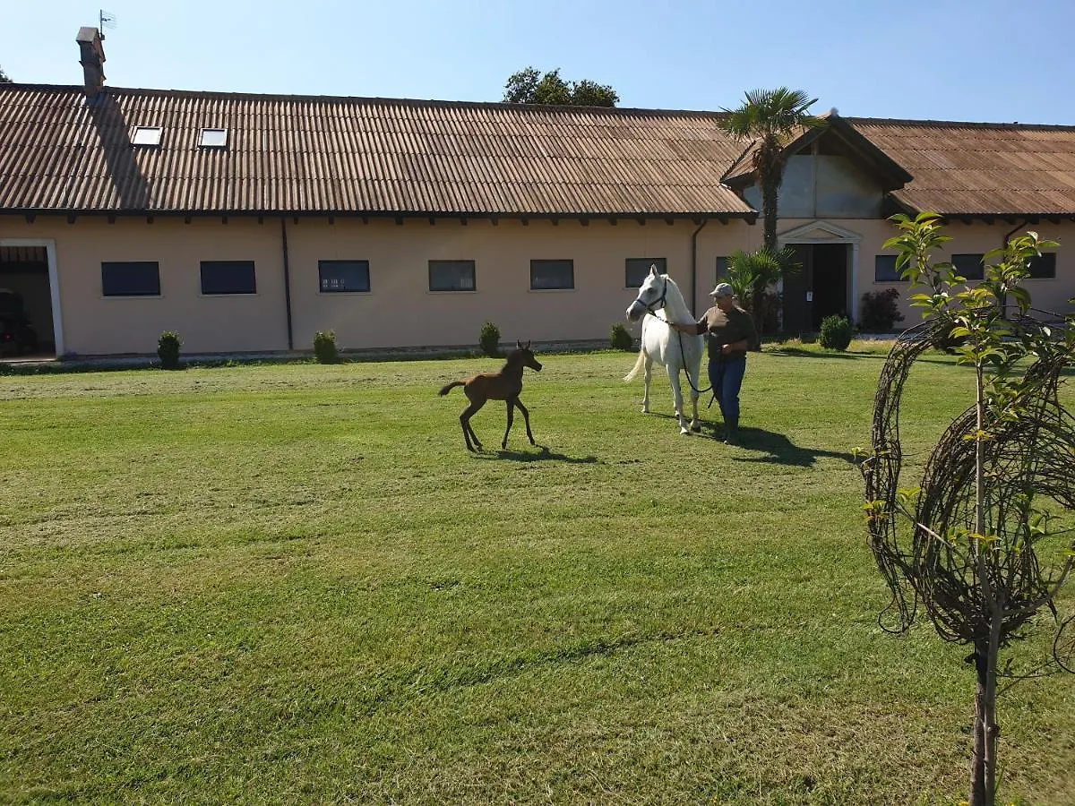 Shazin Stud Villa Alseno