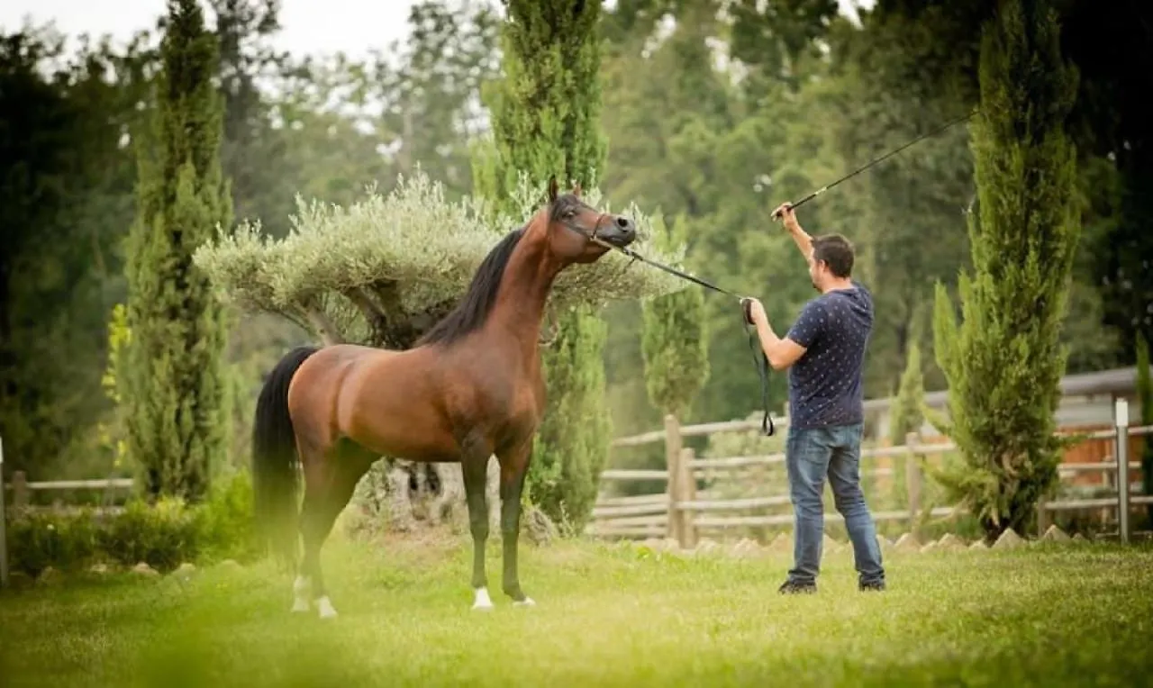 Shazin Stud Villa Alseno Italië