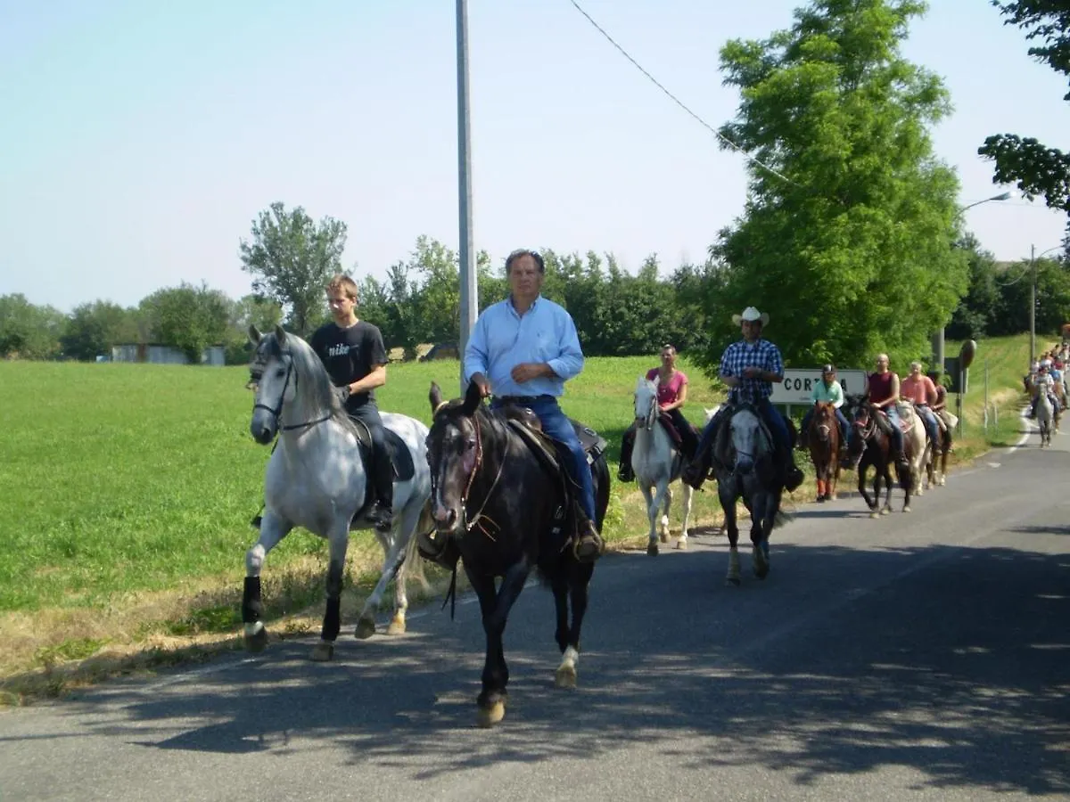 Bauernhof Villa Shazin Stud Alseno