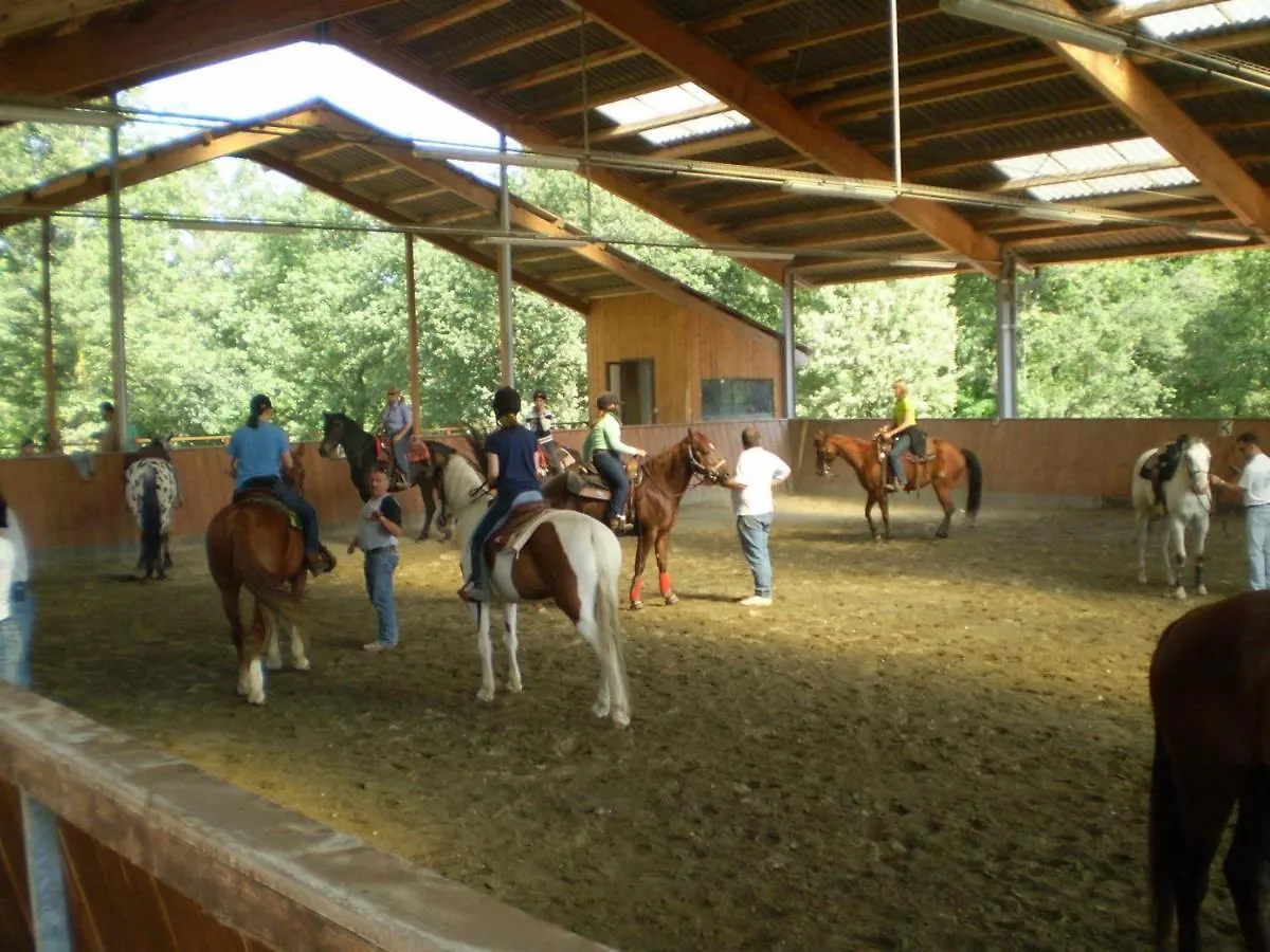 Villa Shazin Stud Alseno 0*,